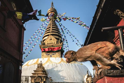 O melhor de Kathmandu: Guia de turismo particular, carro e tour personalizadoDia inteiro de caminhada em língua estrangeira