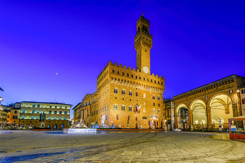 Florence: Palazzo Vecchio Entry with Option Tower Climb