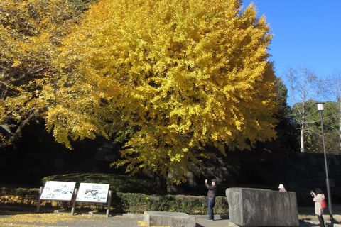 Tokyo Private Luxury City Tour with Professional Guide