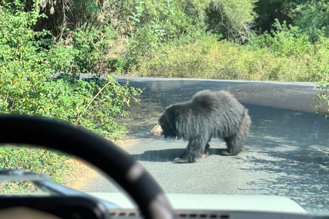 Safari en Jeep por la Vida Salvaje en Bannerghatta con Traslado Privado