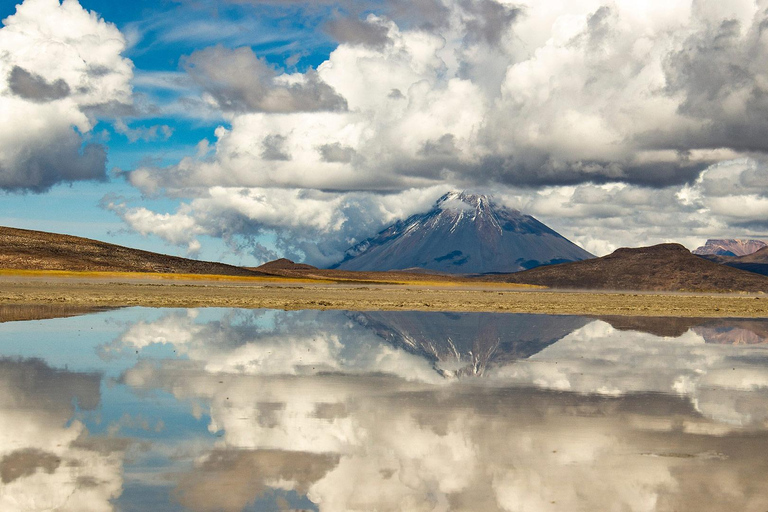 Tur till lagunen och Salinas nationalreservat i Arequipa