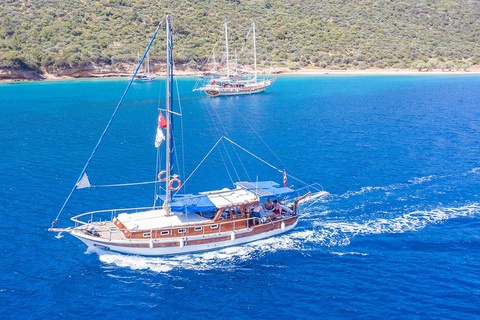 Tour en barco: Tour en barco privado por Bodrum para clientes de cruceros