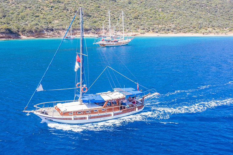 Rondvaart: Bodrum Privé Boottour voor Cruiseklanten