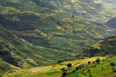 From Addis Ababa: 4-Day Alatish National Park Safari