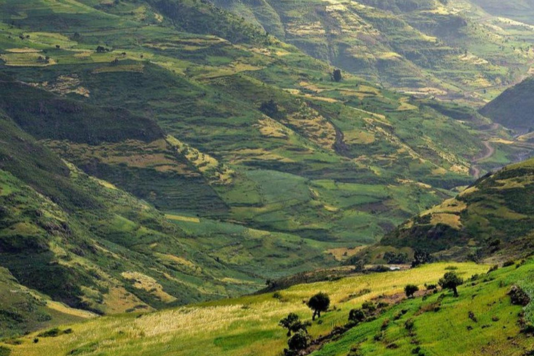 From Addis Ababa: 4-Day Alatish National Park Safari