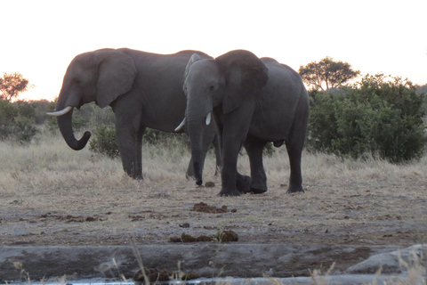 Victoria Falls & Chobe: 3-Day Safari with Cruise & Meals