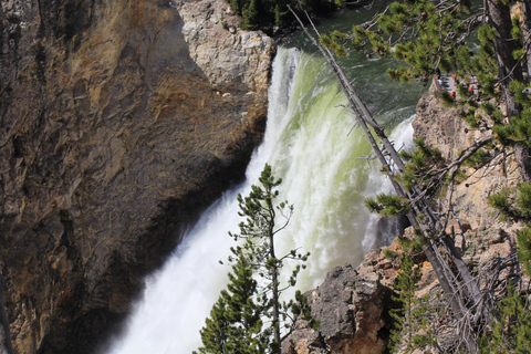 Jackson Hole 2-Day Private Safari: Yellowstone Loops Tour