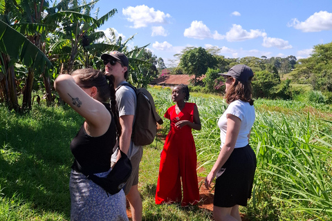 TOUR GIORNALIERO DELLA FATTORIA DEL CAFFÈ FAIRVIEW