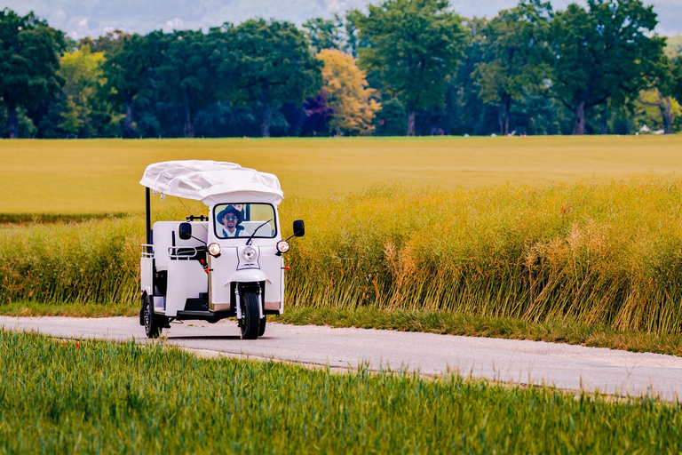 Privat Höjdpunkter Top Places Rundtur Elektrisk TukTuk 1h