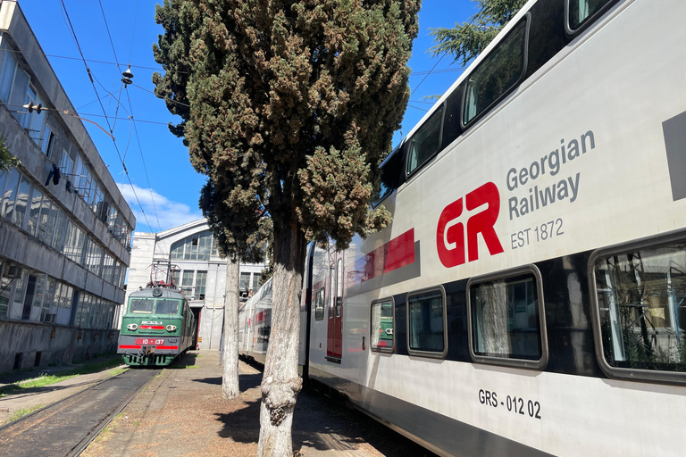 تبليسي: أسرار مترو الأنفاق والسكك الحديدية - جولة إرشادية