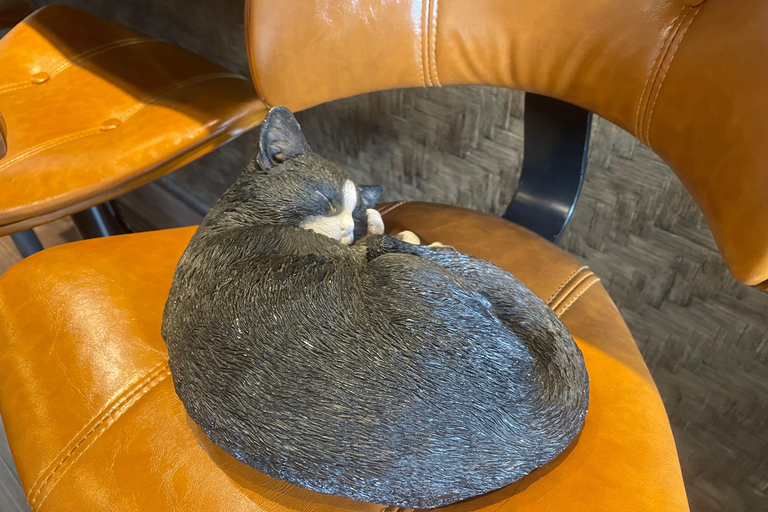 Tokio: Prywatna wycieczka do Beckoning Cat Painting w Yanaka