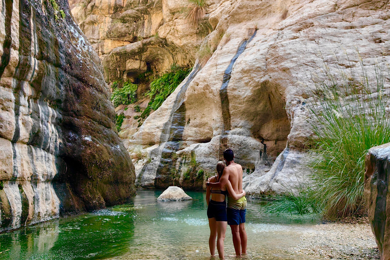 Full Day Wadi Mibam Group Tour