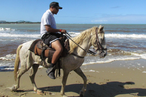 Puerto Plata: Horseback Tour of the Beach and Local Community