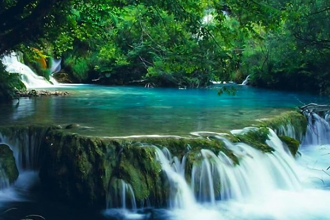 Viagem de 1 dia para caminhada no Parque Nacional Bach Ma com serviço de busca em Hue