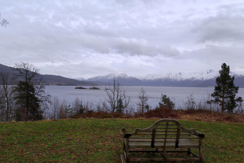 Bergen Private Tour: Waterfalls of Hardanger with a Snack