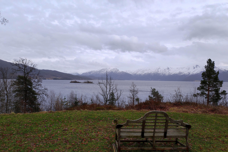 Bergen Private Tour: Waterfalls of Hardanger with a Snack