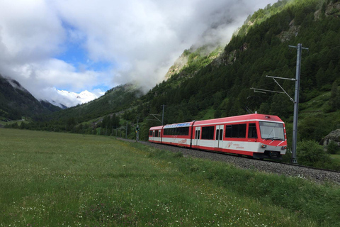 From Geneva: Chillon Castle, Sion, and Täsch Tesla Transfer