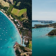 Auckland: Man O' War Vineyard and Rotoroa Island Combo Tour Auckland: Man O' War Vineyard and Rotoroa Island Combo Tour