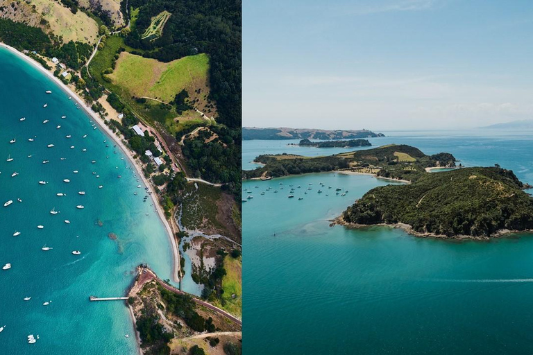 Auckland: Rotoroa Island and Man O'War Vineyard Combo Tour