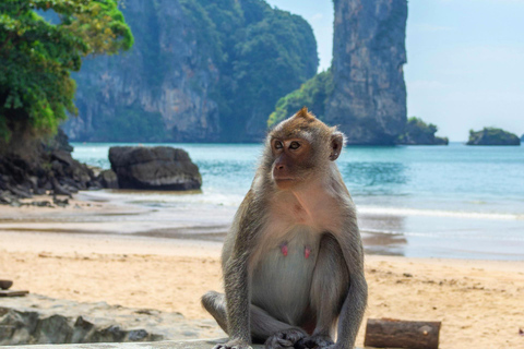 Ko Lanta: Prywatna eksploracja - namorzyny, stare miasto i plażePrywatna wycieczka krajoznawcza