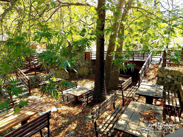Troodos Mountains: Intangible Heritage Tour with Tastings