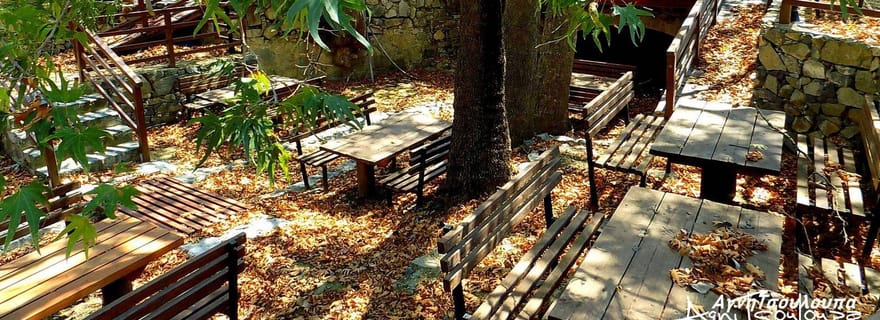 Massif du Troodos : visite du patrimoine immatériel avec dégustations