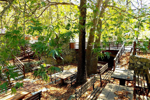 特罗多斯山脉：非物质遗产之旅（含品尝）特罗多斯山：非物质遗产之旅（含品尝）