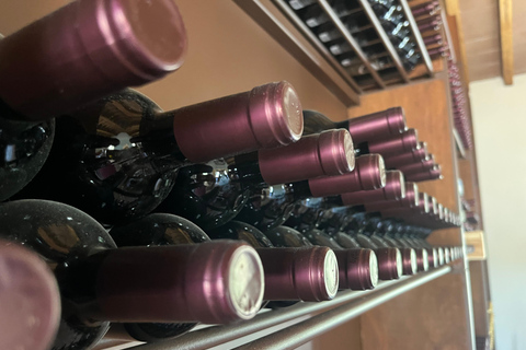 Florence: Pisa, Siena, & San Gimignano Day Trip with Lunch VIP SMALL GROUP