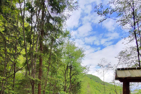 Sarajevo: Electric Bike Tour with Guide