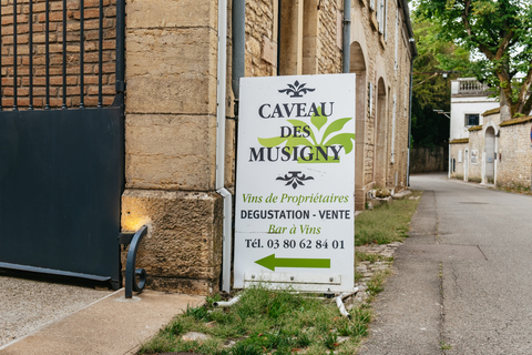 From Beaune: Burgundy Day Trip with 14 Wine Tastings