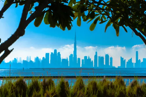 Discover Dubai Half day Live Guided Tour