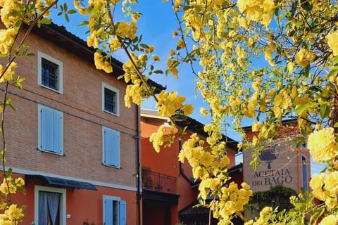Modena: Tour & Taste in a Historic Vinegar Factory and Parmigiano Reggiano PDO Cheese Factory