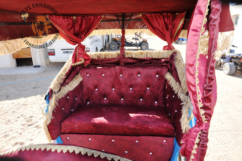 Djerba: Carriage Ride to Crocodil Park.