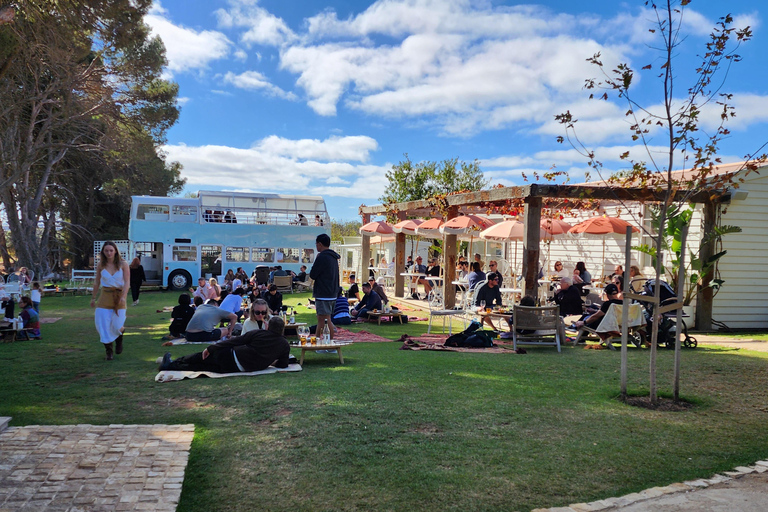 Adelaide: McLaren Vale Winery Tour with Lunch & Tastings