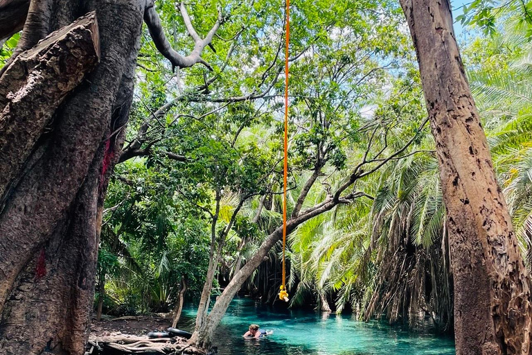 Privat 6-dagars rundtur i norra Tanzania (Safari och kultur)