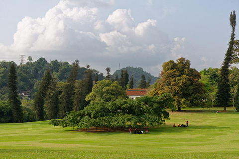 Depuis Colombo : Excursion à Kandy/ Pinnwala/ Royal Gardens