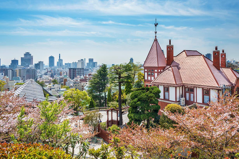 From Osaka/Kobe: Himeji, Mt. Shosha & Kobe Private Tour