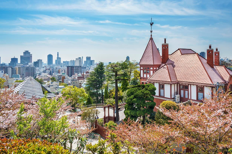 From Osaka/Kobe: Himeji, Mt. Shosha & Kobe Private Tour