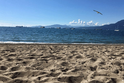 Vancouver Beaches Private Guided Tour - Sea to City