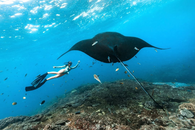 Nusa Penida: Snorkeling Adventure with Manta Rays Private Snorkeling With Hotel Transfer Nusa Penida Area
