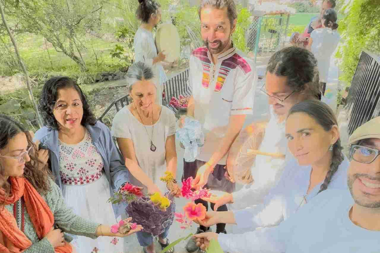 birdwatching in the nearby savannah of Palenque Birdwatching in the nearby savannah of Palenque