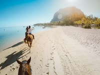 Hurghada , due ore di sole & mare Equitazione con trasferimenti - Hizvo