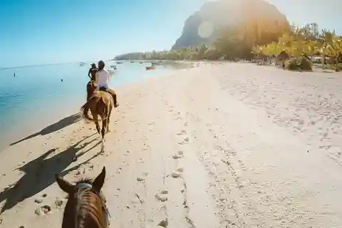 Hurghada: Wüsten- und Meer-Reittour mit Transfer