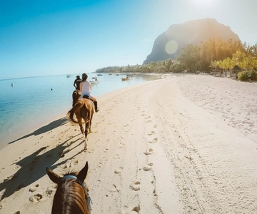 Hurghada: Desert and Sea Horseback Riding Tour with Transfer