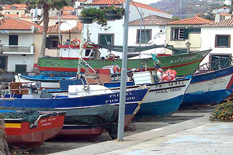 Ruta del Vino de Medio Día en Grupo Reducido por Madeira