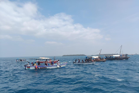Wasini Island Dolphin Tour with Snorkeling & Lunch