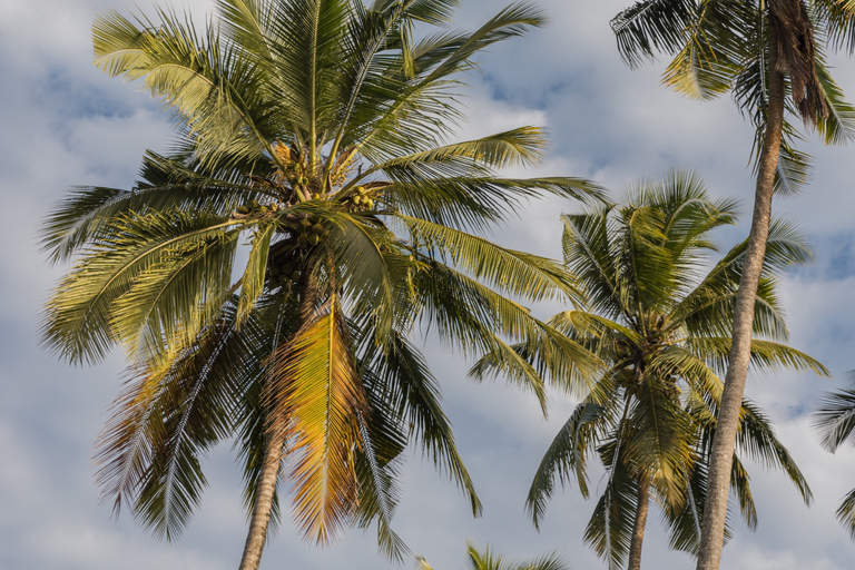 Zanzibar: Fyrhjulingsoffroadäventyr | KiwengwaByupptäcktsresa – utan transfer