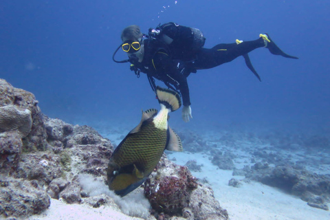 Blue Bay: Discover Scuba Diving