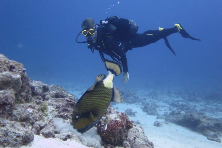 Mauritius: 3 uur durende oostkustduikavontuurMauritius: 3 uur West Coast Scuba Diving Adventure