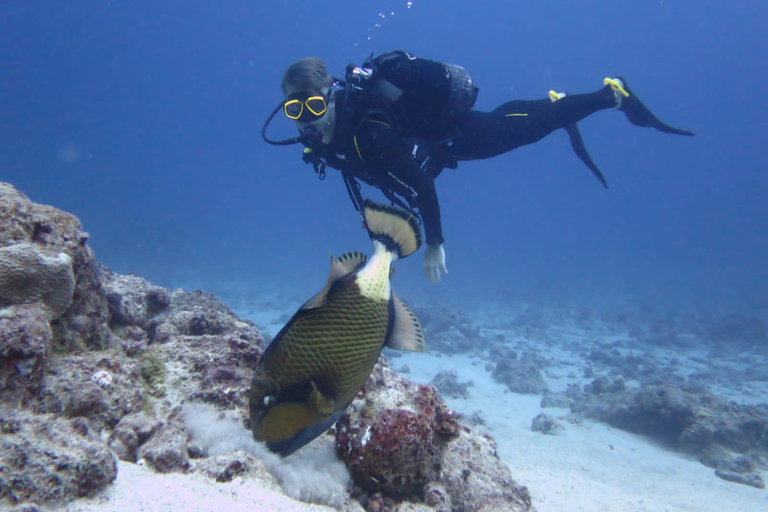 Mauritius: 3-stündiges Tauchabenteuer an der OstküsteMauritius: 3-stündiges Tauchabenteuer an der Westküste